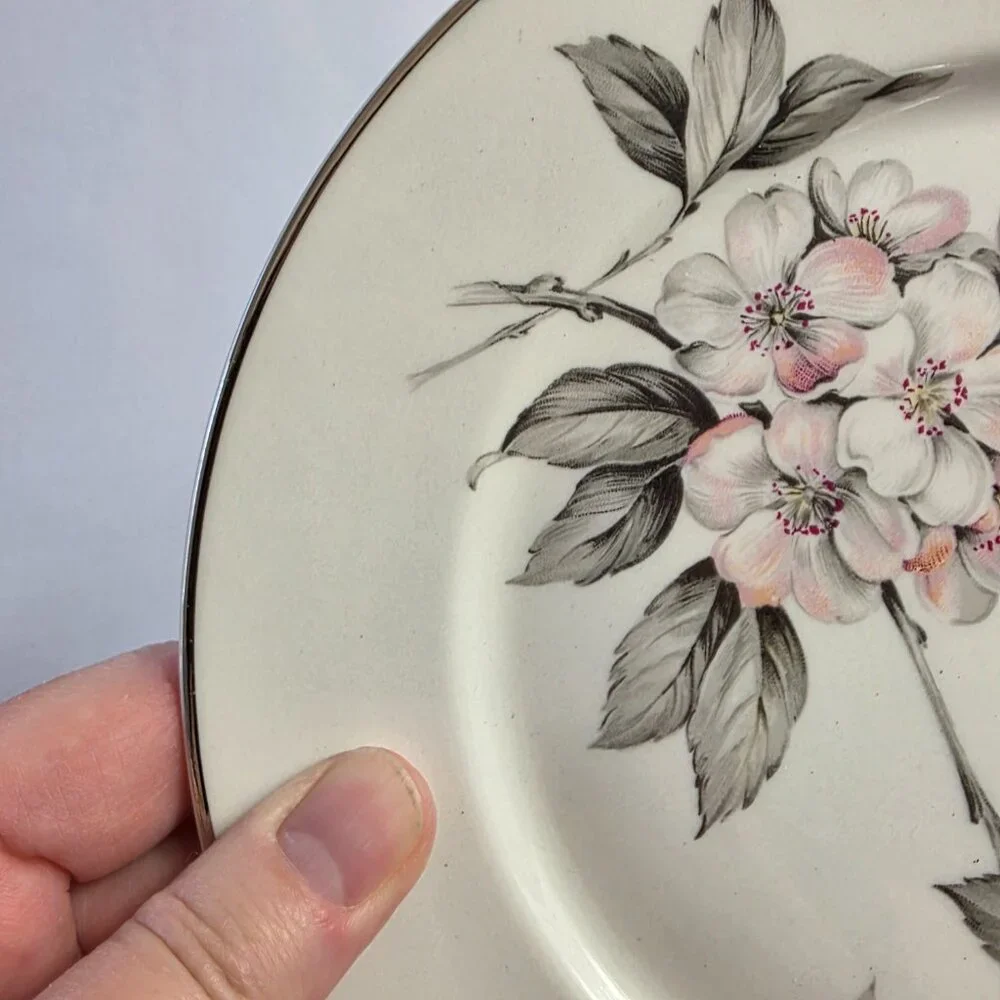 TWO Manor House Spring Glory Salad Plates Pink & White Floral Gray Leaves